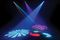 American DJ&nbsp;DJ Spot LED&nbsp;&nbsp;Effect 1