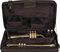 Protec&nbsp;Vax Trumpet Combo Case with Wheels&nbsp;&nbsp;Open, Loaded