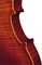 Strunal&nbsp;3310 Concert Series Violin Outfit&nbsp;&nbsp;Back, Closeup