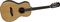 Alvarez&nbsp;Artist Series AP70 Parlor Guitar&nbsp;&nbsp;Natural