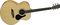 Alvarez&nbsp;Artist Series AJ80 Jumbo Guitar&nbsp;Natural&nbsp;Natural