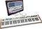 Arturia&nbsp;Analog Experience, The Laboratory 61&nbsp;&nbsp;With Monitor