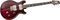 PRS&nbsp;Santana Signature Model Electric Guitar&nbsp;Vintage Burst&nbsp;Angry Larry