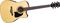 Ibanez&nbsp;Artwood Series AW50ECE Solid Top Dreadnought Acoustic-Electric Guitar&nbsp;&nbsp;Artwood Series AW50ECE Dreadnought Acoustic-Electric Guitar