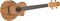 Ibanez&nbsp;EW Cutaway Concert Acoustic-Electric Ukulele With Bag&nbsp;&nbsp;EW Cutaway Concert Acoustic-Electric Ukulele With Bag