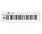 Samson&nbsp;Carbon 49 USB MIDI Keyboard Controller&nbsp;&nbsp;H81353_main.tif