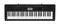 Casio&nbsp;CTK-3200 61-Key Portable Keyboard&nbsp;&nbsp;H83193a.tif