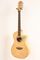 Luna Guitars&nbsp;Fauna Hummingbird Parlor Acoustic-Electric Guitar&nbsp;&nbsp;H74420.001.001_top.tif