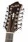 Hagstrom&nbsp;Siljian Grand Auditorium 12-String Acoustic-Electric Guitar&nbsp;&nbsp;1330557399111_F.tif