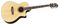 Hagstrom&nbsp;Dalarna Grand Auditorium Acoustic-Electric Guitar&nbsp;&nbsp;1330557399320_A.tif