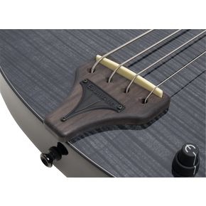 Epiphone Zenith Acoustic/Electric Bass | Musician's Friend