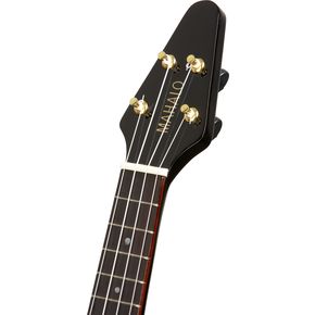 DV019_Jpg_Regular_H02941.001_black_headstock.jpg