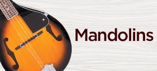 Shop Mandolins