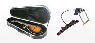Shop Related Mandolin Accessories
