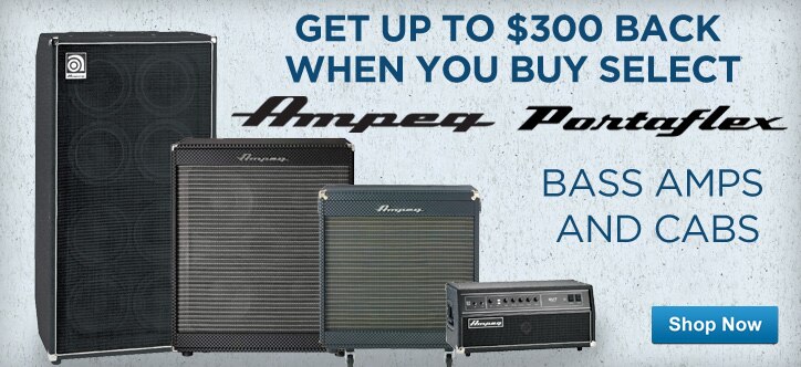 MF MD DT 300 Back Ampeg 05-22-13