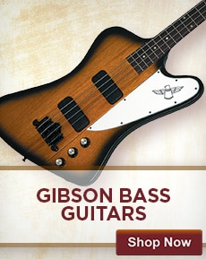 Gibson Accessories and Parts