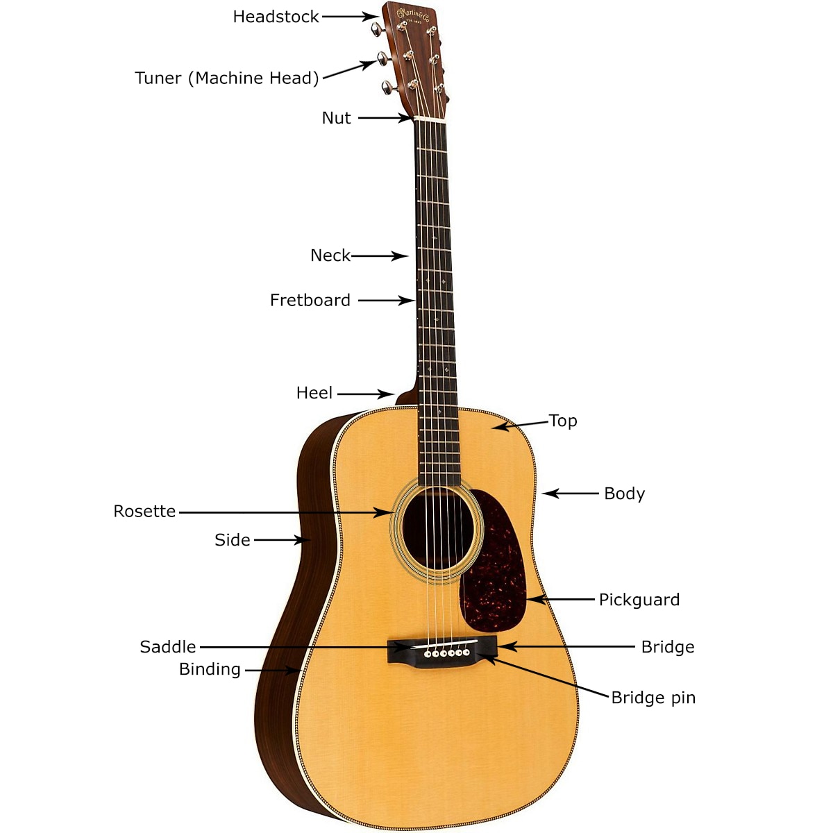 Acoustic Guitar Anatomy and Parts