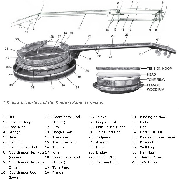 Banjo Parts and Construction