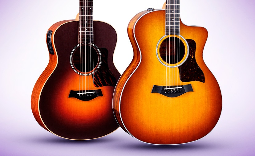 New & Exclusive From Taylor. A special-edition GS Mini-e in vintage sunburst, and 214ce DLX in rich ziricote. Shop Now