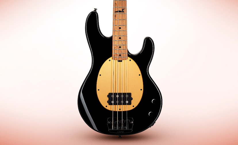 New Pete Wentz Signature Bass