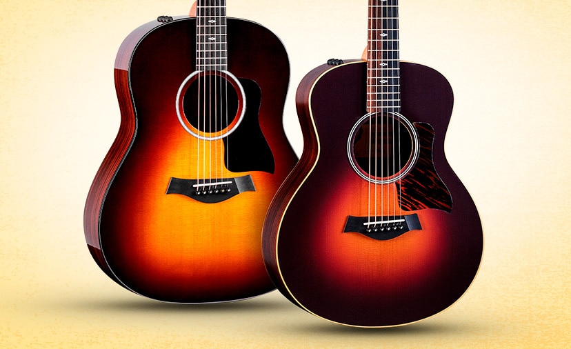 New Taylor 50th Anniversary Models