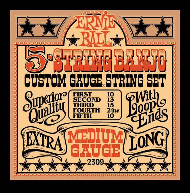 Ernie Ball 2309 Medium Gauge 5 String Banjo Strings  Musicians 