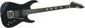 ESP Jeff Hanneman Signature Electric Guitar