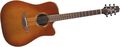 Takamine ETN10C Dreadnought Acoustic-Electric Guitar
