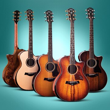 Taylor Limited Edition Guitars