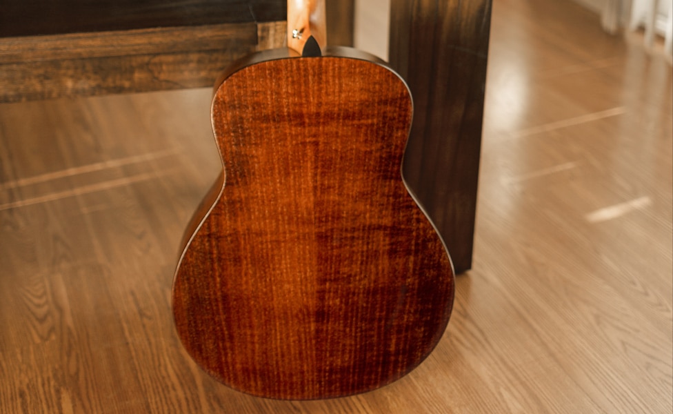 Taylor GT Urban Ash back view