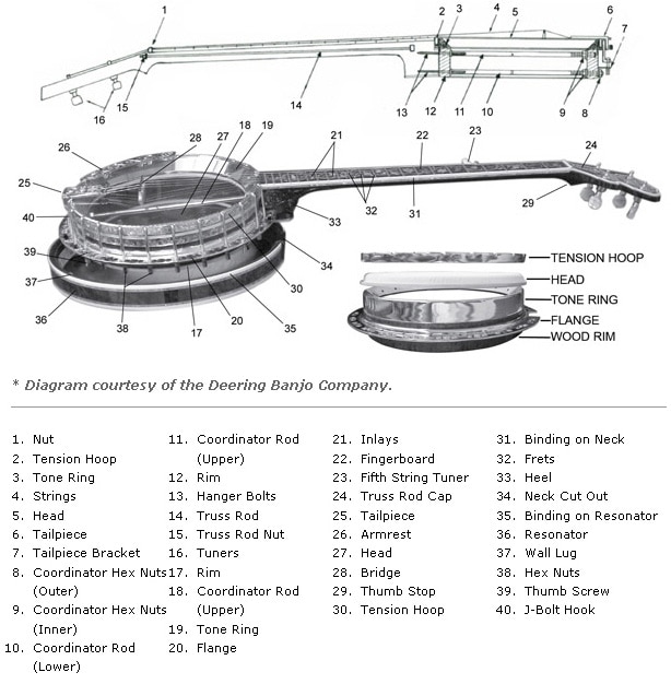 Banjo Finger Chart