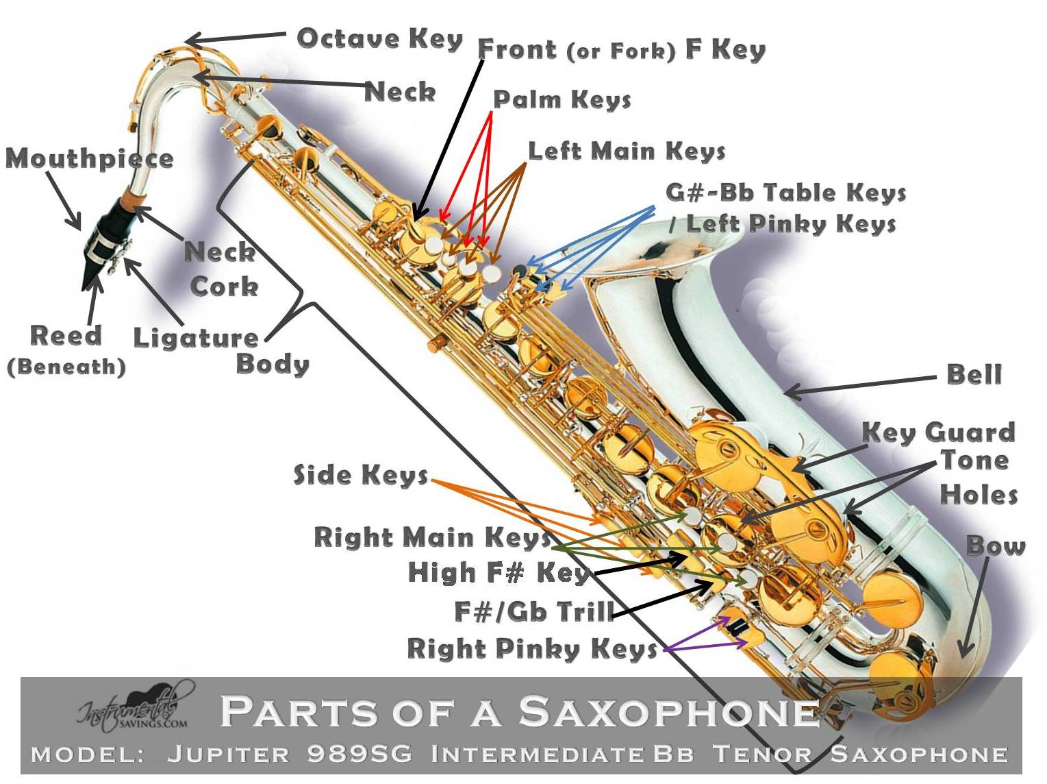 Parts of a Saxophone