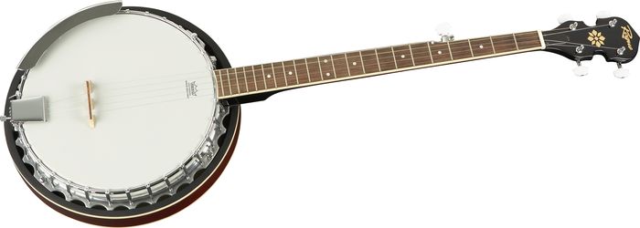 Rogue B30 Deluxe 5-String Banjo