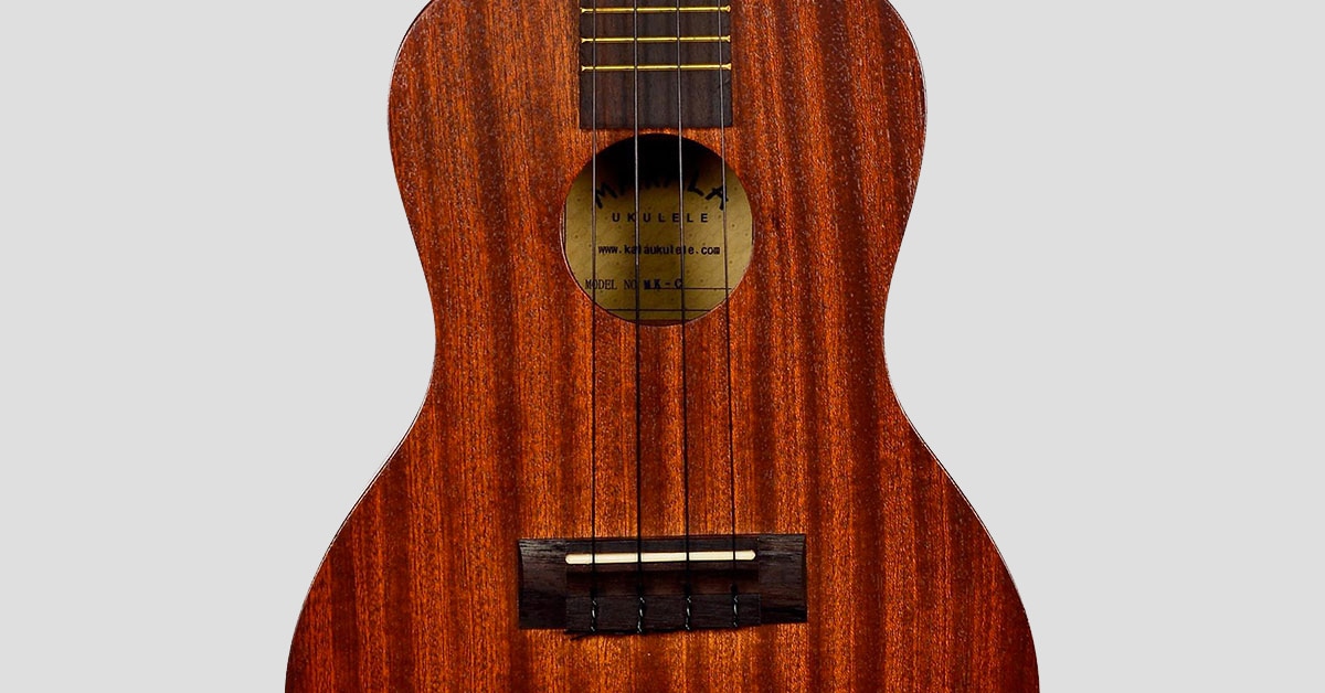 Opfylde fiktiv tank How to Choose the Right Strings for Your Ukulele - The Hub