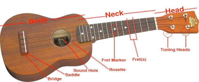 Ukulele Parts, Anatomy, and Diagram