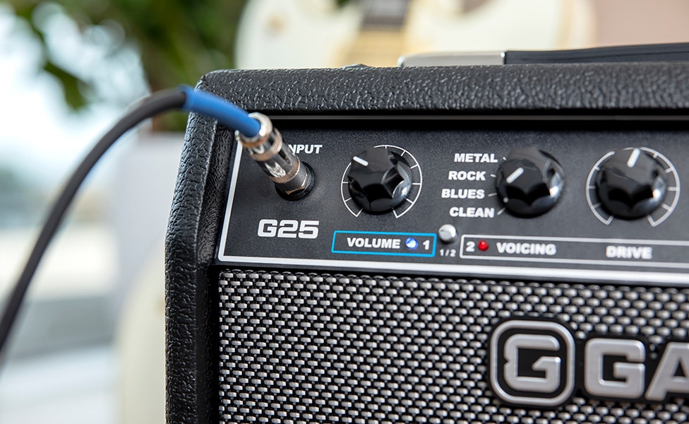 GAMMA G25 Guitar Amplifier
